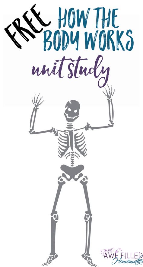 Learning about the Human Body doesn't have to be boring, nor expensive! That is why I am sharing several FREE resources AND a FREE printable unit study. Human Body Unit Study, Unit Studies Homeschool, Human Body Unit, Body Study, Human Body Systems, Unit Studies, Science Units, Science Curriculum, Preschool Science