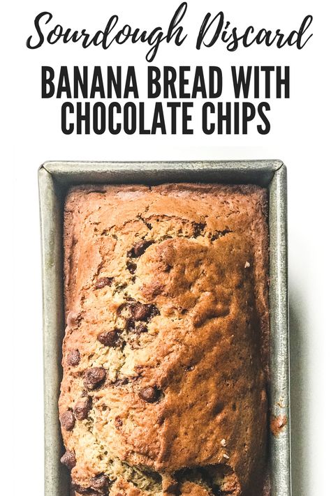 Sourdough Discard Banana Bread, Discard Banana Bread, Sourdough Discard Banana, Dough Starter Recipe, Banana Bread With Chocolate Chips, Banana Bread With Chocolate, Bread With Chocolate Chips, Bread With Chocolate, Recipe Using Sourdough Starter