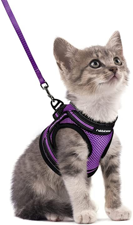 Cat Harness Pattern Free, Cat Harness Pattern, Best Cat Harness, Cat Scratcher Post, Kitten Harness, Cute Cat Leash And Harness, Cat Leash, Pet Cushions, Cat Harness