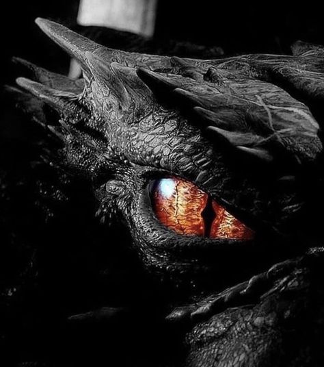 Black Dragon, A Dragon, A Black, Black And White, Red, On Instagram, White, Instagram, Black