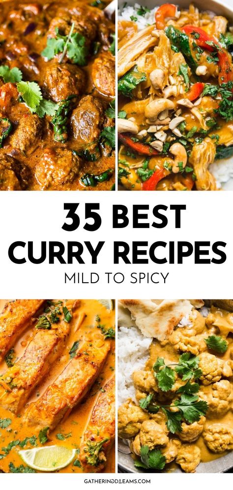 Mediterranean Curry Recipes, Dinner Ideas Curry, British Curry Recipes, Non Spicy Curry Recipe, Asian Curry Recipes, Easy Indian Curry Recipes, Mild Curry Recipes, Spicy Dinner Ideas, Spicy Indian Food Recipes