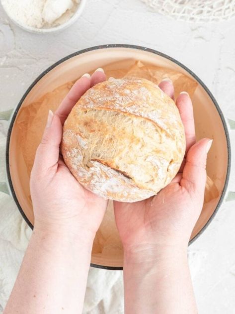 Small Batch Crusty Bread Using 1 Cup of Flour » the practical kitchen Small Batch Bread, The Practical Kitchen, Crusty Bread Recipe, Baguette Recipe, Practical Kitchen, No Knead Bread, No Knead, Hands Holding, Bread Bowls