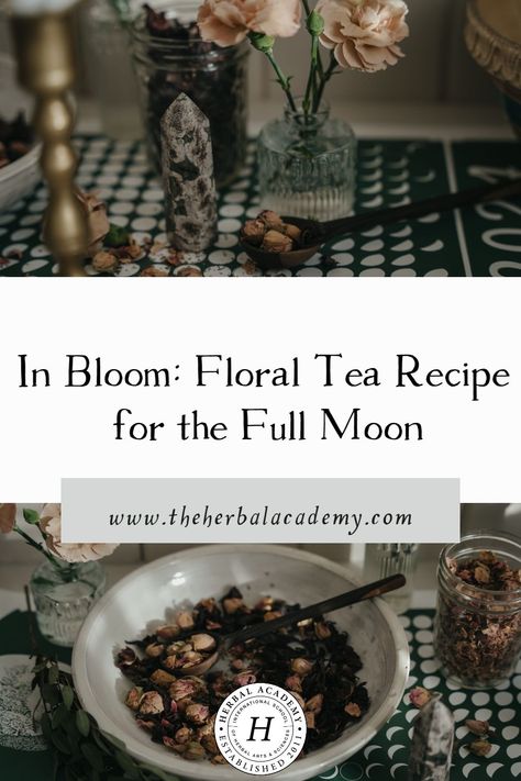 In Bloom: Floral Tea Recipe for the Full Moon | Herbal Academy | Sipping a cup of this Full Moon Floral Tea can help bring about a sense of calm and lightness in the heart. Full Moon Tea, Medicinal Teas, Moon Tea, Herbal Academy, Medicinal Tea, Tea Diy, Herbal Recipes, Tea Recipe, Natural Lifestyle