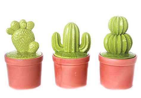 super smart idea. lid is removable at the lip area of the terracotta pot. Cactus Terracotta, Ceramic Cactus Pottery, Pink Cactus Shelves, Cactus Clay Sculpture, Cactus Vase Anthropologie, Terracotta Pots, Xmas Gifts, Cactus Plants, Home Accessories