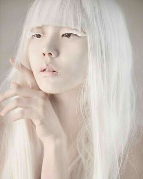 Albino People, Albino Model, Albino Girl, Model Tips, Long White Hair, Studio Photography Fashion, Studio Photography Lighting, Face References, Face Characters