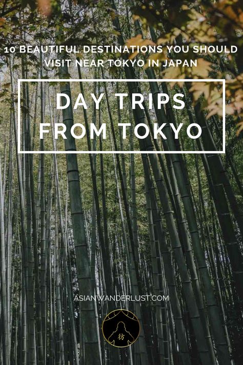 Day Trip From Tokyo, Tokyo Day Trips, Japan Travel Itinerary, Japan Planning, Asian Destinations, Visiting Japan, Kyoto Japan Travel, Day Trips From Tokyo, Asia Trip