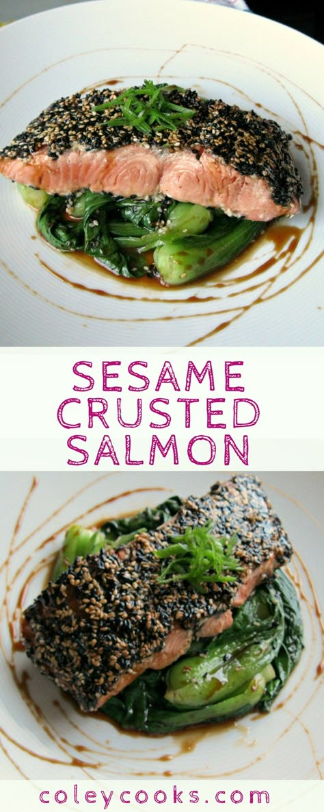 Sesame Crusted Salmon with Sweet Soy Glaze | Coley Cooks... Easy Asian Salmon, Sesame Crusted Salmon, Sweet Soy Glaze, Asian Salmon Recipes, Easy Salmon Recipe, Soy Glaze, Asian Salmon, Delicious Seafood Recipes, Alaskan Salmon