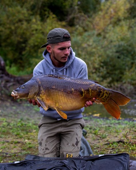 Autumn beauty ! #carp #carpfishing #fishing #autumn #banger #onthebank #carpy #passion #thatscarpy #carpyshots #carpangler #carpangling #carporn #wild #lifestyle #instacarp #karpfen #canon #nashtackle #nashbait #candynutcrush #danglersnation #wildwatersofficial #urbancarpcollective #subsurfacejournal #monkeyclimbermagazine #carpmovement #onsenfish #totalcarp  @officialnashtackle  @officialnashbait  @officielnashfrance  @carpmovement  @carpwatch  @carpologyofficial  @carpcaptures  @mode.. Fox Fishing, Fish Smoker, Wild Waters, Fishing Pole, Carp Fishing, Fishing Gear, Carp, Fun Bags, Mattress