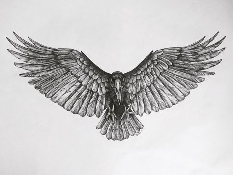 Drawing Ravens Sketch, Raven Sketch, Crow Tattoo Design, Wing Tattoo Designs, Tattoo Outline Drawing, Crow Tattoo, Wing Tattoo, Raven Tattoo, Eagle Tattoos