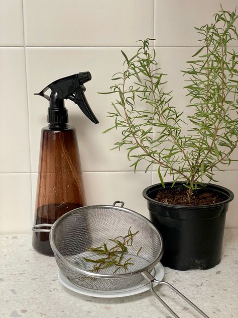 Rosemary Water Aesthetic, Rosemary Oil Aesthetic, Hair Growth Aesthetic, Rosemary Hair Growth Spray, Rosemary Hair Spray, Hair Oil Aesthetic, Rosemary Water Hair, Rosemary Aesthetic, Rosemary Spray