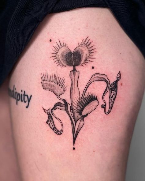 Carnivorous Plants Tattoo, Venus Fly Trap Illustration, Pitcher Plant Tattoo, Carnivorous Plant Tattoo, Venus Flytrap Tattoo, Venus Fly Trap Tattoo, Trap Tattoo, Plants Tattoo, Cute Thigh Tattoos