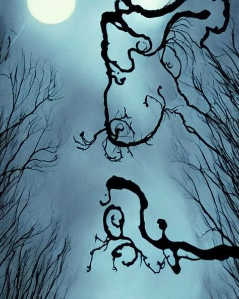 Tim Burton Aesthetic, Tim Burton Corpse Bride, Tim Burton Characters, Tim Burton Style, Tim Burton Art, Tim Burton Films, Tim Burton Movie, Corpse Bride, Halloween Wallpaper