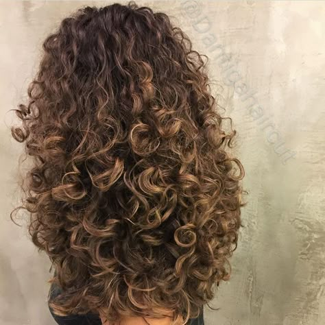 Dyed Curly Hair, Natural Curly Hair Cuts, Highlights Curly Hair, Brown Curly Hair, Curly Hair Photos, Colored Curly Hair, Hairdos For Curly Hair, Curly Hair Inspiration, Curly Girl Hairstyles