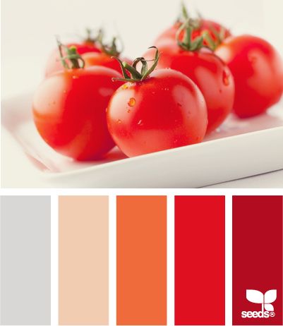 Seeds Color, Red Colour Palette, Color Palate, Design Seeds, Red Kitchen, Decorating Inspiration, Red Design, Living Room Colors, Color Textures