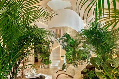 Travel + Leisure sat down with Ian Schrager to hear how The Edition fits into Tampa's transformation. #besthotels #hotels #resorts #travelandleisure #traveltips Ian Schrager, Edition Hotel, Travertine Pool, Marble Staircase, Public Hotel, Florida City, Luxury Destinations, Five Star Hotel, Lounge Seating