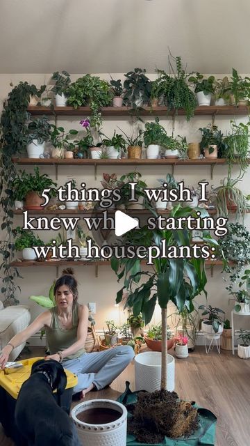 Christy Gilvear🪴 Houseplant Stylist + Digital Creator on Instagram: "New to the houseplant game? I’ve got your back with five game-changing tips to keep your indoor jungle lush and thriving! Oh, and here’s a little insider tip: HHHP plant food is the magic potion your plants crave for year-round vitality. Trust me, it’s a total game-changer! 🌿✨   What other tips would you add to this list? . . . . . . . #TheRootedPetal, #HappyHappyHouseplant, #HHHP, #CrazyPlantPeople, #PlantParenthood, #Houseplants, #HouseplantsOfInstagram, #GardenRoom, #PlantsMakeMeHappy, #PlantShelves, #PlantWall, #LivingWall, #IndoorPlants, #PlantRoom, #DecoratingWithPlants, #HouseplantClub, #UrbanJungle, #IndoorJungleDecor, #GreenThumb, #PlantPower, #PlantGang, #PlantCommunity, #PlantTherapy, #PlantAddict, #PlantLife Plant Lady Aesthetic, Plant House Aesthetic, Plant Room Aesthetic, Easy Care Houseplants, Plant Goals, Magic Potion, Plant Therapy, Digital Creator, Indoor Jungle