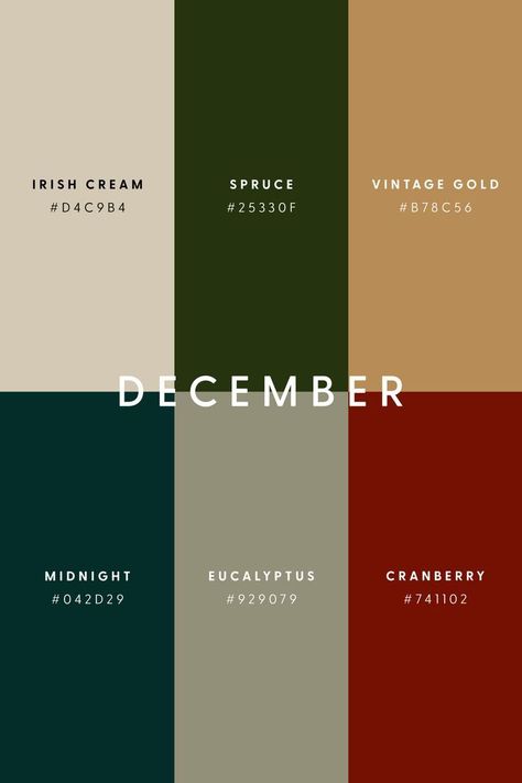 Rgb Palette, Christmas Color Palette, Desain Ui, Color Design Inspiration, Hex Color Palette, Palette Design, Color Schemes Colour Palettes, Inspire Me Home Decor, Brand Color Palette