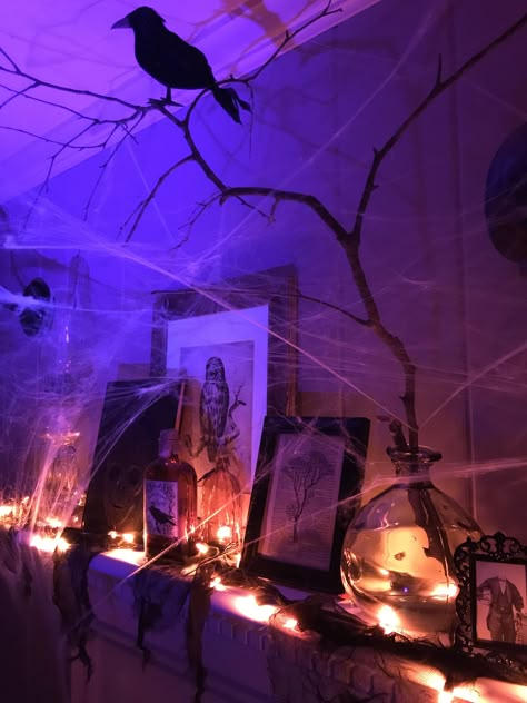 Black And Purple Halloween Party, Purple And Black Halloween Birthday Party, Orange And Purple Halloween Lights, Halloween Aesthetic Purple Orange, Halloween Purple Lights, Halloween Lighting Indoor, Purple And Green Halloween Decor, Black And Purple Halloween Decorations, Purple And Black Halloween Decorations