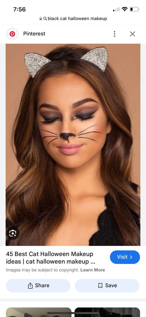 Cat Makeup Simple, Black Cat Makeup Halloween, Black Cat Halloween Makeup, Kitty Halloween Makeup, Cat Makeup Halloween Pretty, Halloween Makeup Cat, Cat Makeup For Halloween, Halloween Cat Makeup, Cat Costume Makeup