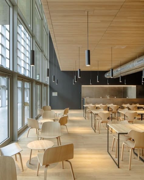 Canteen Design, Cafeteria Design, School Cafe, School Canteen, Classroom Interior, Community Hub, Healthcare Architecture, Scandinavian Architecture, School Interior