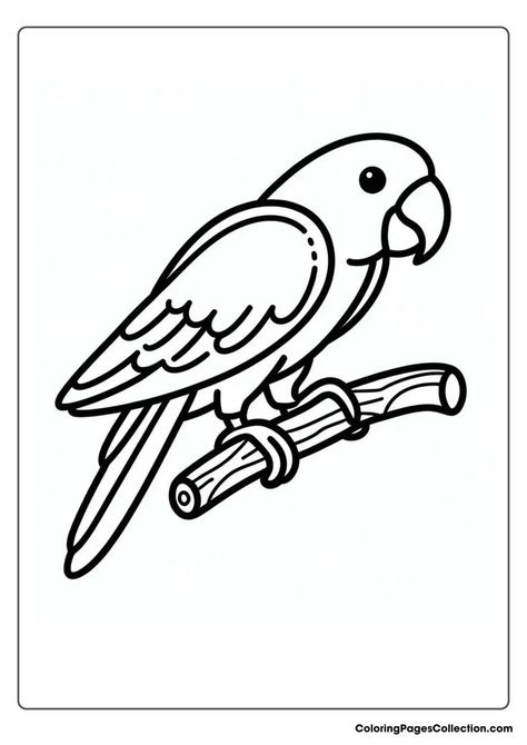 parrot coloring pages Parrot Colouring Pages, Parrot Coloring Page, Inkleur Prente, Coloring Pages Ideas, Htv Ideas, Pages Ideas, Colorful Parrots, Childrens Drawings, Alphabet Flashcards