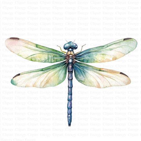 Dragonfly Clipart | 5 High Quality JPGs | Digital Download | Insect Art | Watercolor Dragonfly | Printable Artwork | Junk Journals | Clipart 🌟 Special Offer! 🌟 Elevate your creative projects with this exclusive clipart bundle, featuring 5 stunning images at an incredible price! Perfect for nursery wall art, junk journals, greeting cards, invitations, prints, scrapbooks, collages, mixed media, paper crafts, mugs, apparel, and social media posts. 🖼️ Each image is a unique masterpiece, available Dragon Fly Paintings, Dragonfly Drawing Art, Simple Dragonfly Drawing, Dragonflies Artwork, Dragonfly Printable, Simple Dragonfly, Dragonfly Watercolor, Dragonfly Clipart, Insects Art