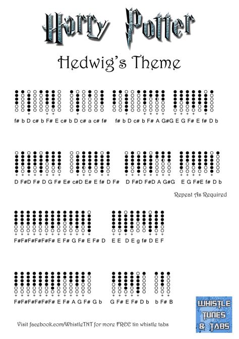 Hedwigs Theme, Recorder Fingering Chart, Recorder Notes, Tin Whistles, Native American Flute Music, Irish Flute, Recorder Sheet Music, Recorder Songs, Music Theory Lessons