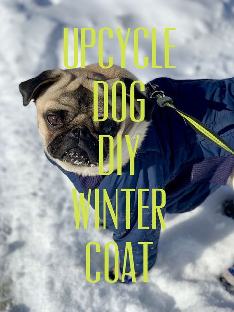 How to turn a child’s coat into a cozy winter coat for your dog - YouTube step by step free instructions Diy Dog Winter Coat, Puppy Coat Pattern Free, Dog Jacket Pattern Free Winter Coats, Fleece Dog Coat Pattern Free, Free Dog Coat Pattern Sewing, Dog Coats Patterns Free Sewing, Dog Coat Pattern Free Printable, Dog Jacket Pattern Free, Dog Coat Sewing Pattern