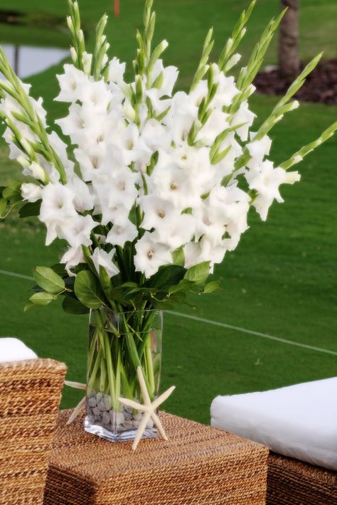 Gladiolus Centerpiece, Gladiolus Bulbs, Church Flowers, Deco Floral, Bulb Flowers, Flowers Perennials, Delphinium, Annual Plants, Summer Flowers