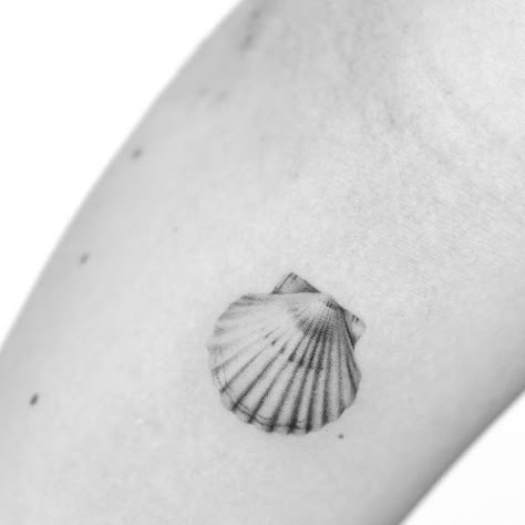 Wave Shell Tattoo, Seashell Hand Tattoo, Shells Tattoo Ideas, Shell Wrist Tattoo, Realistic Sea Shell Tattoo, Tattoo Shell Seashells, Sunrise Shell Tattoo, Realistic Seashell Tattoo, Kauai Tattoo Ideas