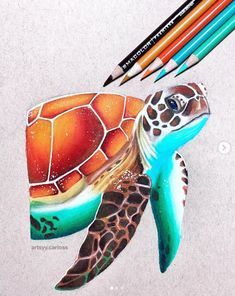 Colored Pencil Artwork Ideas, Sea Turtle Drawing, Colored Pencil Art Projects, Color Pencil Sketch, Turtle Drawing, Prismacolor Art, Pencil Drawing Tutorials, Colored Pencil Artwork, Arte Inspo