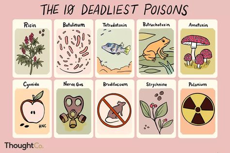 10 Deadliest Poisons Known to Man How To Make Poison, Guided Reading Questions, Matter Lessons, Chemistry Posters, Poison Dart, Chemical Equation, Protest Posters, Chemistry Experiments, The Periodic Table