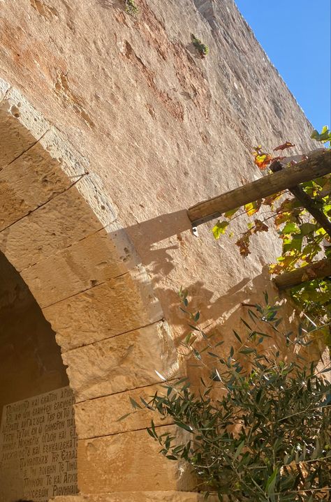 aesthetic arch, hallway arch, olive tree aesthetic Olive Trees Aesthetic, Olive Tree Aesthetic, Hallway Arch, Arch Hallway, Arch Aesthetic, Devine Intervention, Tree Aesthetic, Olive Trees, Inspiring Women