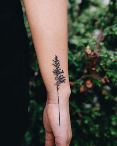 Tantalizing Tree Tattoos proven to be Remarkably Meaningful Evergreen Tree Tattoo, Tree Tattoo Meaning, Tree Sleeve Tattoo, Pine Tattoo, Tattoo Tree, Pine Tree Tattoo, Muster Tattoos, Tree Tattoo Designs, E Tattoo