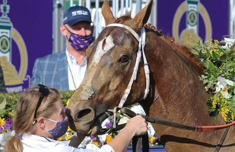 Breeders’ Cup winner Whitmore sprints to 8-year-old campaign Faster Horses, Horse Profile, Breeders Cup, Do What Is Right, Crazy People, Thoroughbred, Winter House, Race Track, Best Relationship