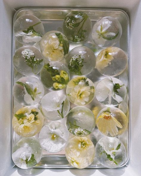 The Lovely List: Wedding Details of the Moment Floral Ice Cubes, Cake Displays, Round Ice Cubes, Modern Arrangements, Floral Ice, Garden Spheres, Flower Ice, Round Ice, Ice Ball