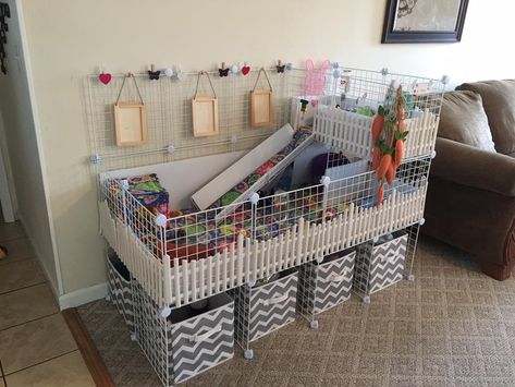 Indoor Guinea Pig Cage, Diy Bunny Cage, Cavy Cage, Guine Pig, Pig Habitat, Bunny Things, Diy Guinea Pig Cage, Guinea Pig Diy, Guinea Pig Hutch