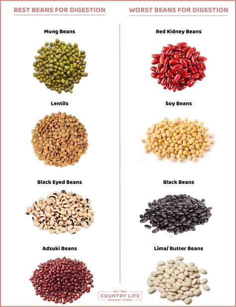 The Easiest Beans To Digest, Making You Less Gassy and Bloated | Country Life Natural Foods Non Gassy Foods, Sensitive Stomach Diet, Best Vegan Protein Sources, Gassy Foods, How To Make Beans, Stomach Diet, Cook Beans, Nightshade Vegetables, Easy To Digest Foods