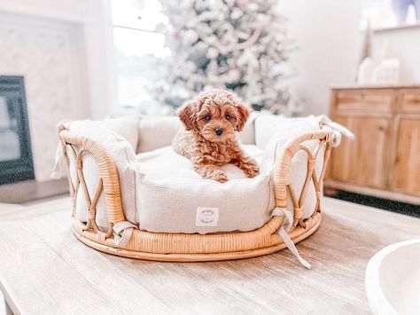 Puppy Beds Aesthetic, Boujee Dog Beds, Cute Aesthetic Dog Beds, Cute Dog Bed Aesthetic, Beachy Dog Bed, Scandinavian Dog Bed, Cute Dog Beds For Medium Dogs, Cute Puppy Beds, Rattan Pet Bed