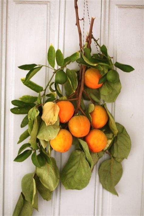 Simple Christmas Decor, Easy Christmas Decorations, Garden Christmas, Still Life Photos, Christmas Decorations To Make, Persimmon, Winter Garden, Easy Peasy, Apartment Therapy