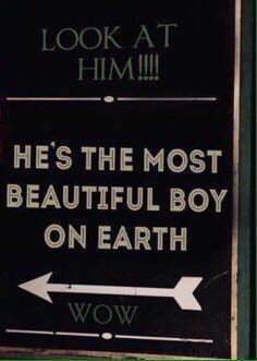 Henry Clerval, Bella Y Edward, The Adventure Zone, Be More Chill, Stay With Me, Adrien Agreste, A Silent Voice, After Life, If I Stay