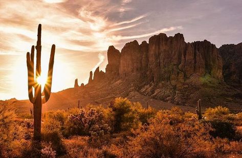 Lost Dutchman State Park, Arizona. Photo Credit: @weinstein.scapes via Instagram Desert Reference, Dessert Landscaping, Superstition Mountains Arizona, Desert Tattoo, Nature Reference, Arizona Mountains, Superstition Mountains, Arizona Landscape, Desert Mountains