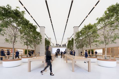 Completed in 2016 in London, United Kingdom. Images by Nigel Young . The re-imagining of Apple Regent Street in London marks the continuing evolution of Apple, going beyond retail to create richer, more dynamic... Apple Store Design, 블로그 디자인, Apple Park, Foster Partners, Phone Store, Regent Street, Indoor Trees, Norman Foster, Electronic Shop