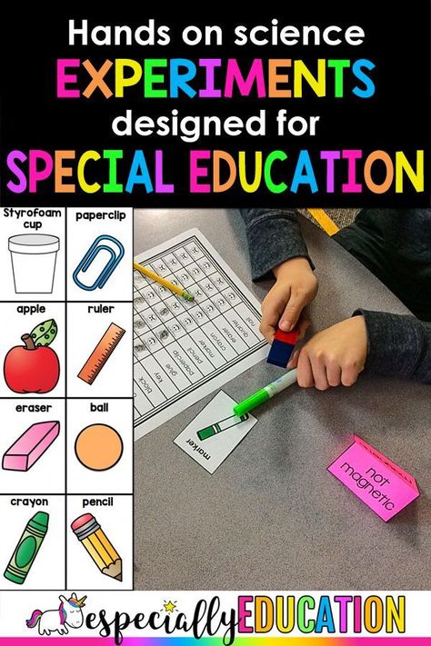 As a special education teacher, I know the challenge of differentiating instruction. While my district provides a specialized reading and math curriculum for special education classrooms, they are seriously lacking in the science and social studies department. My TPT store provides teachers adapted resources that meets the needs of your students with engaging, hands-on activities that make learning exciting and appropriate. Special Education Paraprofessional, Special Education Quotes, Special Education Science, Special Education Curriculum, Special Education Lesson Plans, High School Special Education, Kindergarten Special Education, Life Skills Classroom, Special Education Activities