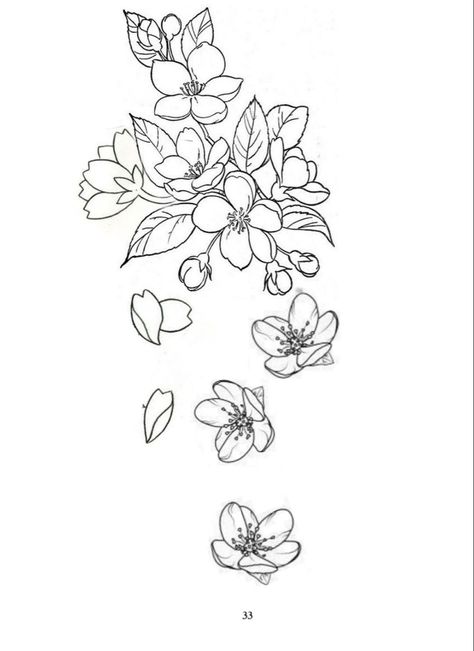 Japanese Cherry Blossom Tattoo Stencil, Cherry Blossom Tattoo Sketch, Cherry Blossom Filler Tattoo, Chinese Flower Tattoo Blossoms, Cherry Blossom Drawing Tattoo, Chinese Flowers Tattoo, Chinese Cherry Blossom Tattoo, Sakura Flowers Drawing, Chinese Flowers Drawing