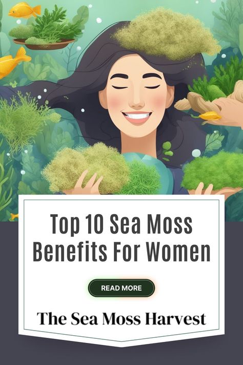 Top 10 Sea Moss Benefits For Women Sea Moss Benefits For Women, Sea Moss Benefits, Benefits Of Sea Moss, Sources Of Iodine, Health Improvement, Hormonal Balance, Thyroid Function, Supplements For Women, Diets For Women