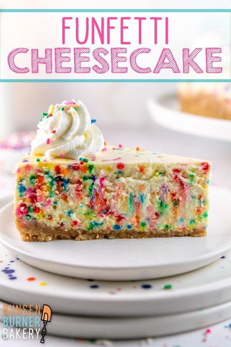 Cake Batter Cheesecake, Birthday Cheesecake Recipes, Birthday Cake Cheesecake, Funfetti Cheesecake, Mint Chocolate Cheesecake, Birthday Cheesecake, Cake Recipes For Kids, Bunsen Burner, Birthday Cake Flavors