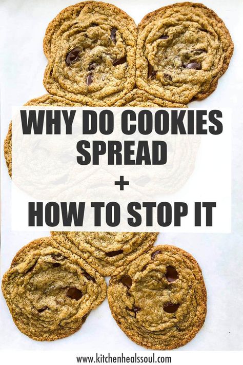 Sometimes you want a cookie to spread and sometimes you don't. Find out all the reasons cookies spread (or don't spread) so that you can troubleshoot and make cookies exactly as you want them! Thick Cookies, Drop Cookie Recipes, Perfect Sugar Cookies, Make Chocolate Chip Cookies, Clean Baking, Chocolate Cookie Dough, Dipped Cookies, Baking Science, Food Substitutions