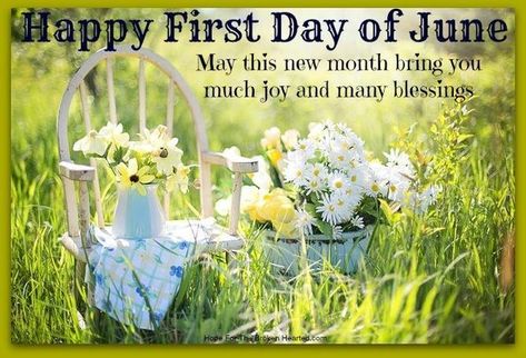 New Month June, Happy First Day Of June, June Quotes, Happy June, 10% Happier, Beautiful Weather, Red Gemstones, New Month, Digital World