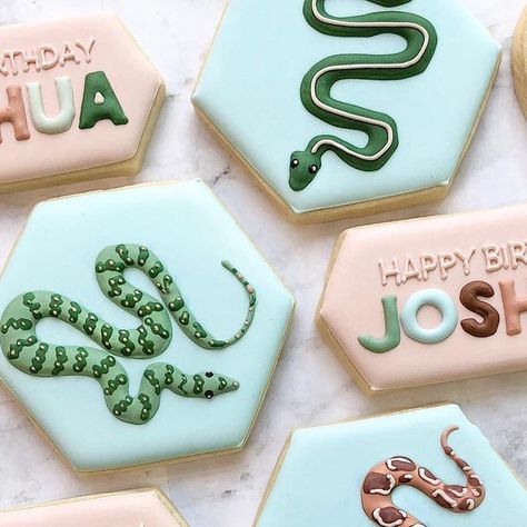 Katie Murphy on Instagram: "There are very few things I dislike more than snakes, so a Google image search for inspiration for this set was a complete nightmare. Hopefully the birthday boy likes them! 🐍 ⁣⁣
⁣⁣
#snakecookies #reptilecookies #birthdaycookies #decoratedsugarcookies #royalicingcookies #customsugarcookies #cincinnaticookies #cincinnati #cincinnaticookiedecorator #katebakesohio" Lizard Cookies, Snake Cookies, Reptile Cookies, Things I Dislike, Snake Birthday, Reptile Party, Iced Sugar Cookies, Google Image Search, Year Of The Snake